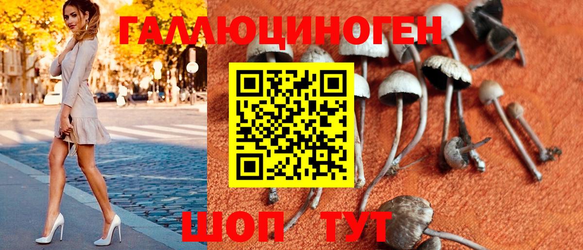 Псилоцибиновые грибы Psilocybine cubensis Артёмовский