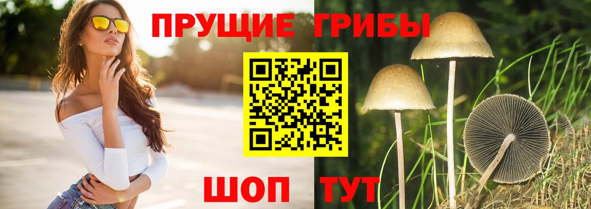 Артёмовский  магазин    Псилоцибиновые грибы Psilocybe  Вход с VPN  Галлюциногенные грибы мухоморы 